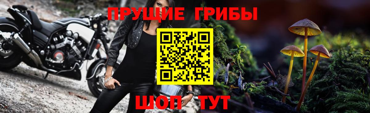 Ставрополь  закладка  Вход с VPN  Галлюциногенные грибы GOLDEN TEACHER  Псилоцибиновые грибы мицелий 